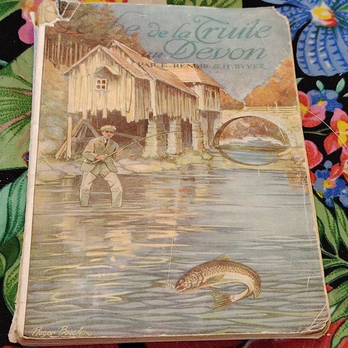 Pêche truite au - la,