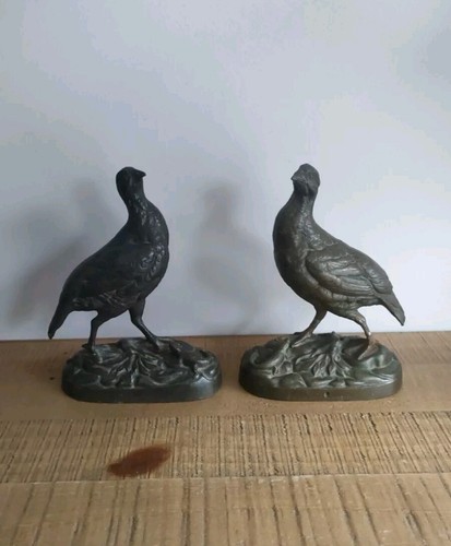 Couple partridge with - of, cast
