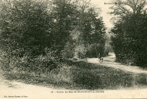 Carte entrée bois - carte, de