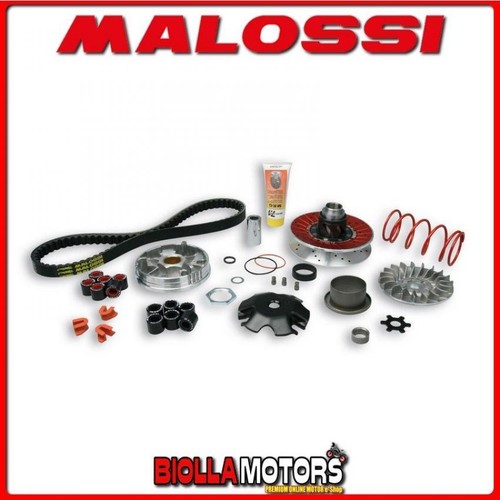 6118884 malossi transmission - malossi,