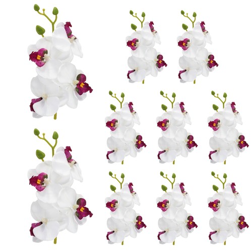 10pcs fleur orchidée - fleur, d'orchidée