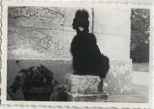 Photo ancienne vintage - ancienne,