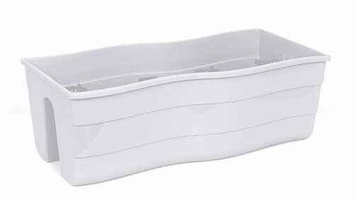Bacs fleurs blancs - fleurs, /