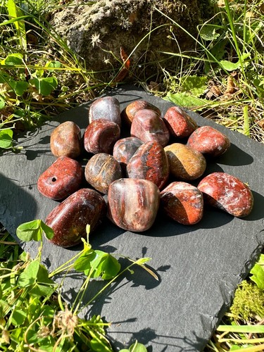 Bois fossile pierre roulée - bois,