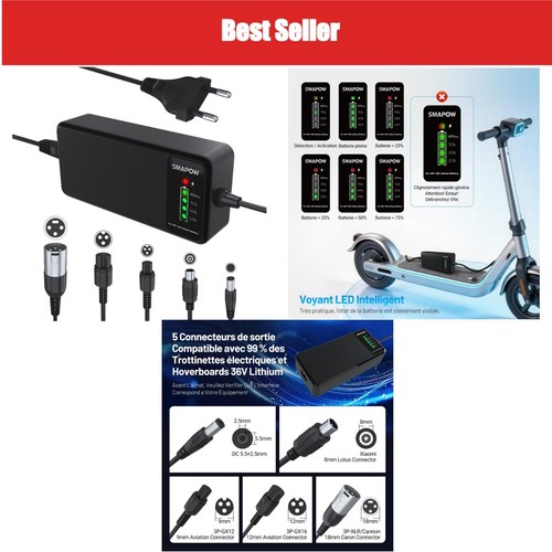 Chargeur intelligent 42v - intelligent,