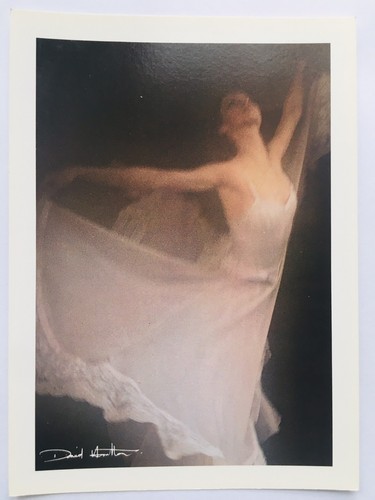 Carte postale david hamilton - carte,