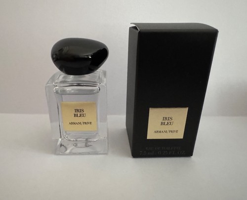 Miniature armani iris - iris, bleu