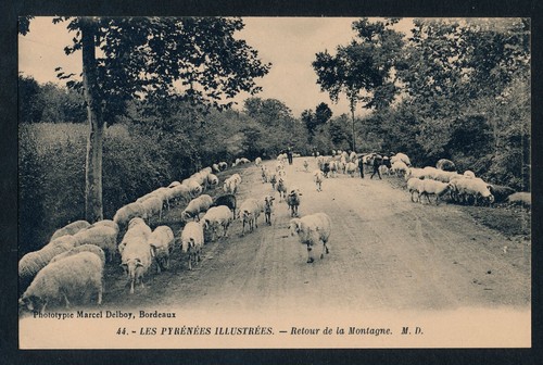 Pyrenees illustrees retour - illustrees,