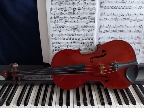 Old french violin jerome - french, 4/4,