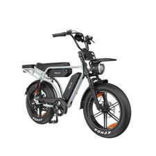 Vélo Électrique Rétro 25