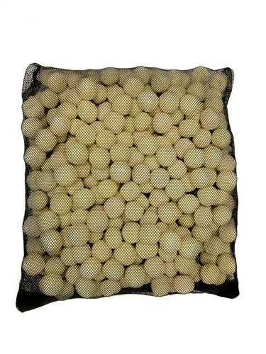 Gal bio ball bacteria - 1, house