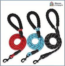 Laisse Chien Corde tressé