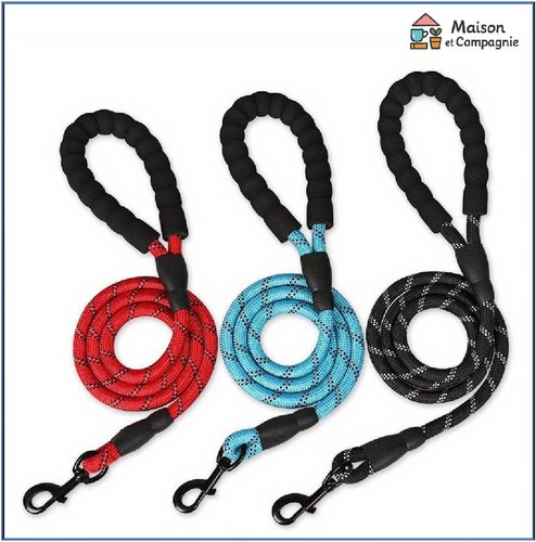 Laisse chien corde tressé - corde,