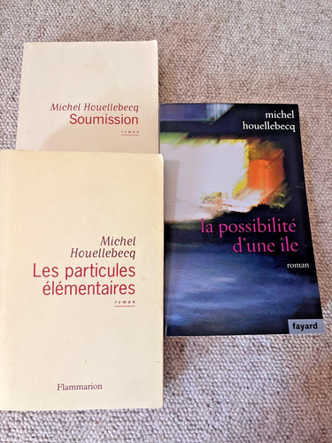 Lot michel houellebecq 3 - lot,