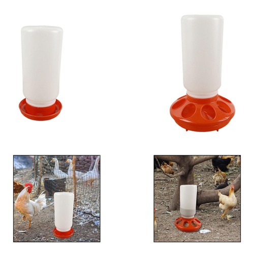 Mangeoire abreuvoir pour - et,
