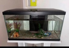 aquarium complet de 58L avec