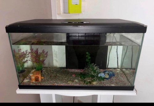 Aquarium complet 58l avec - complet,