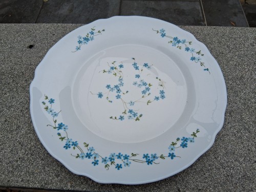 Plat rond arcopal france - plat,