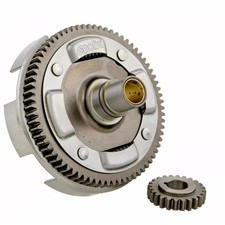 Set Primaire Pour Rapports