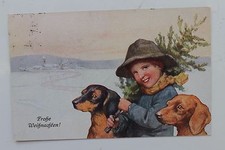 26482 AK Teckel Avec Chiots