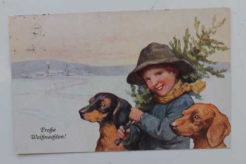 26482 teckel avec chiots - 26482,