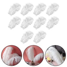 Accessoires photo plumes