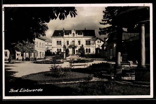 Carte postale bad liebwerda - carte,