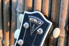 Rare Eko 200 1960's