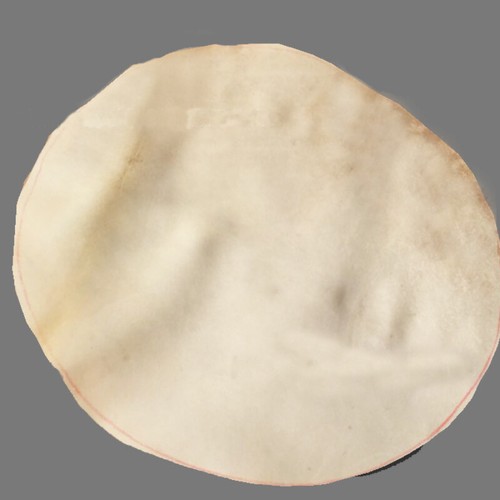 Chèvre peau djembe - peau,