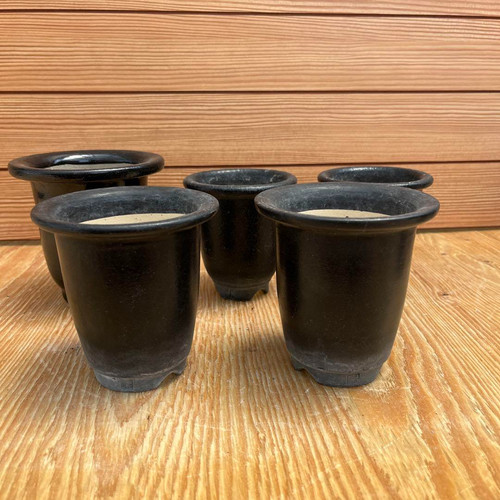 Lot 和鉢常滑 pot - 和鉢常滑,