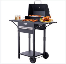 Barbecue au Charbon de bois