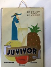 GLACOIDE JUVIVOR FRUITS JEAN ADRIEN MERCIER