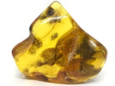 PIECE AMBRE fossile naturel
