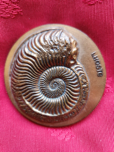 Médaille géologie fossile - médaille,