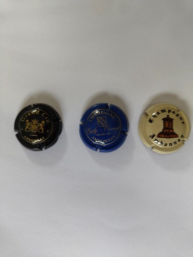 Lot capsules champagne - lot,