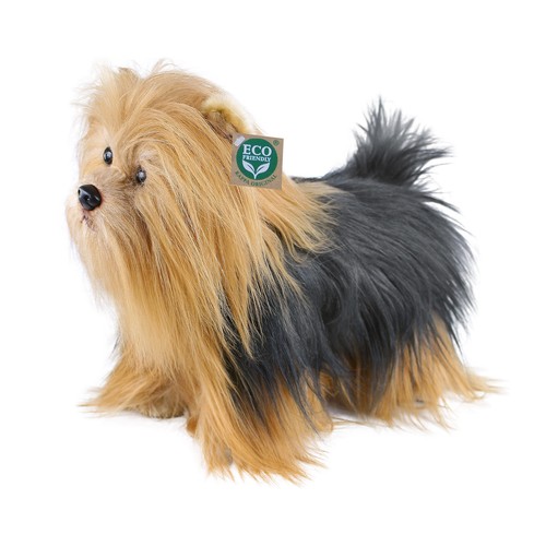 Peluche yorkshire terrier - peluche,