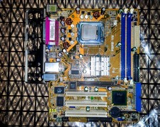 Asus P5PE-VM REV 1.00G AGP 8x Socket 775 (Lan defect) + CPU Pentium4 531