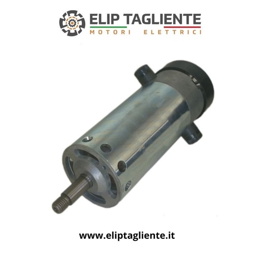 Moteur électrique greenmaster - moteur,