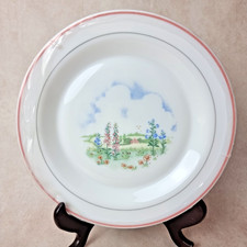 Lot 6 Assiette Plate Arcopal