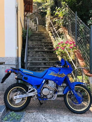Honda dominator 650 rd02 - honda,