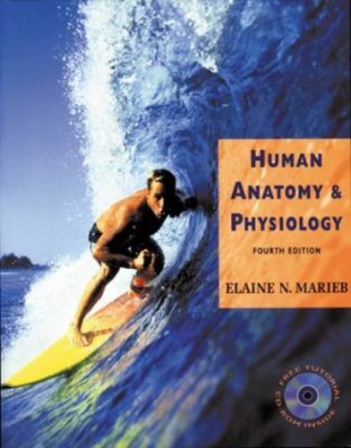 Anatomie humaine - anatomie,
