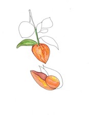 Aquarelle œuvre Originale