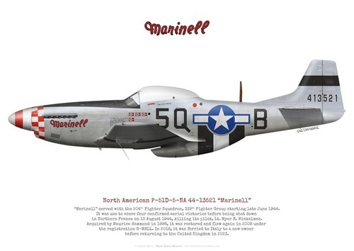 Print warbird 51d - p-51d, mustang
