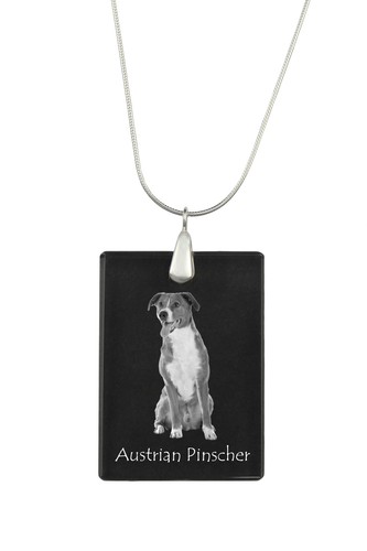 Autrichien pinscher - autrichien,