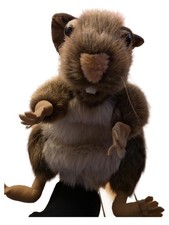 Folkmanis Marionnette à Main Castor Peluche Animaux Sauvages