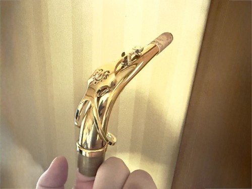 Yanagisawa silver sonic gold - sonic,
