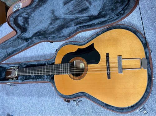 Framus hootenanny string - framus,