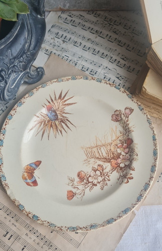 Ancienne assiette terre - ancienne,