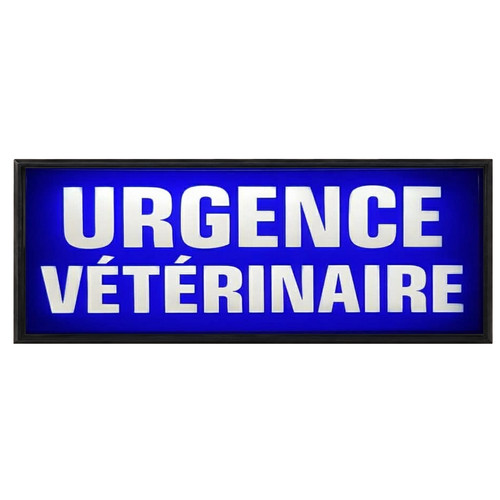 Pare soleil lumineux led - lumineux,