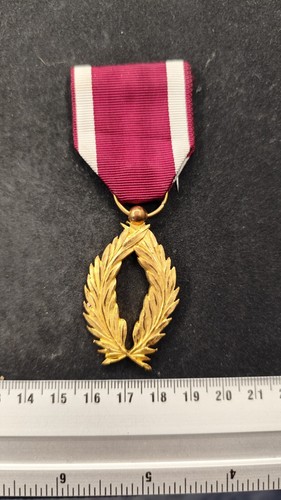Medaille decoration palmes - medaille,